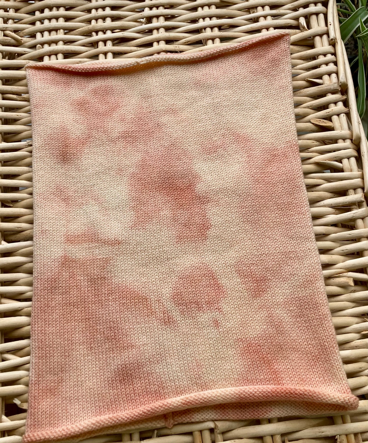 Madder Tie dyed Merino Cowl