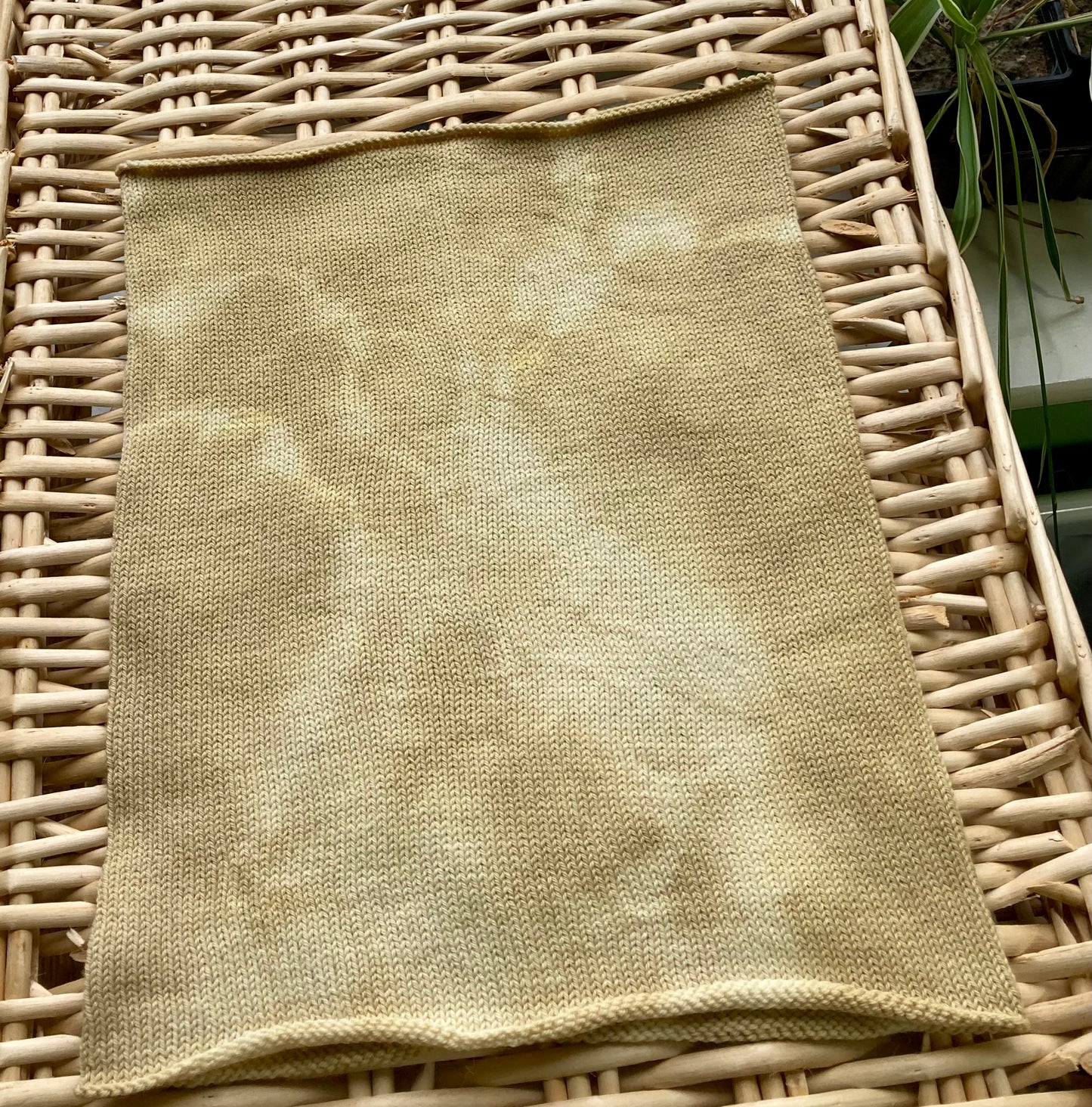 Alder Tie dyed Merino Cowl