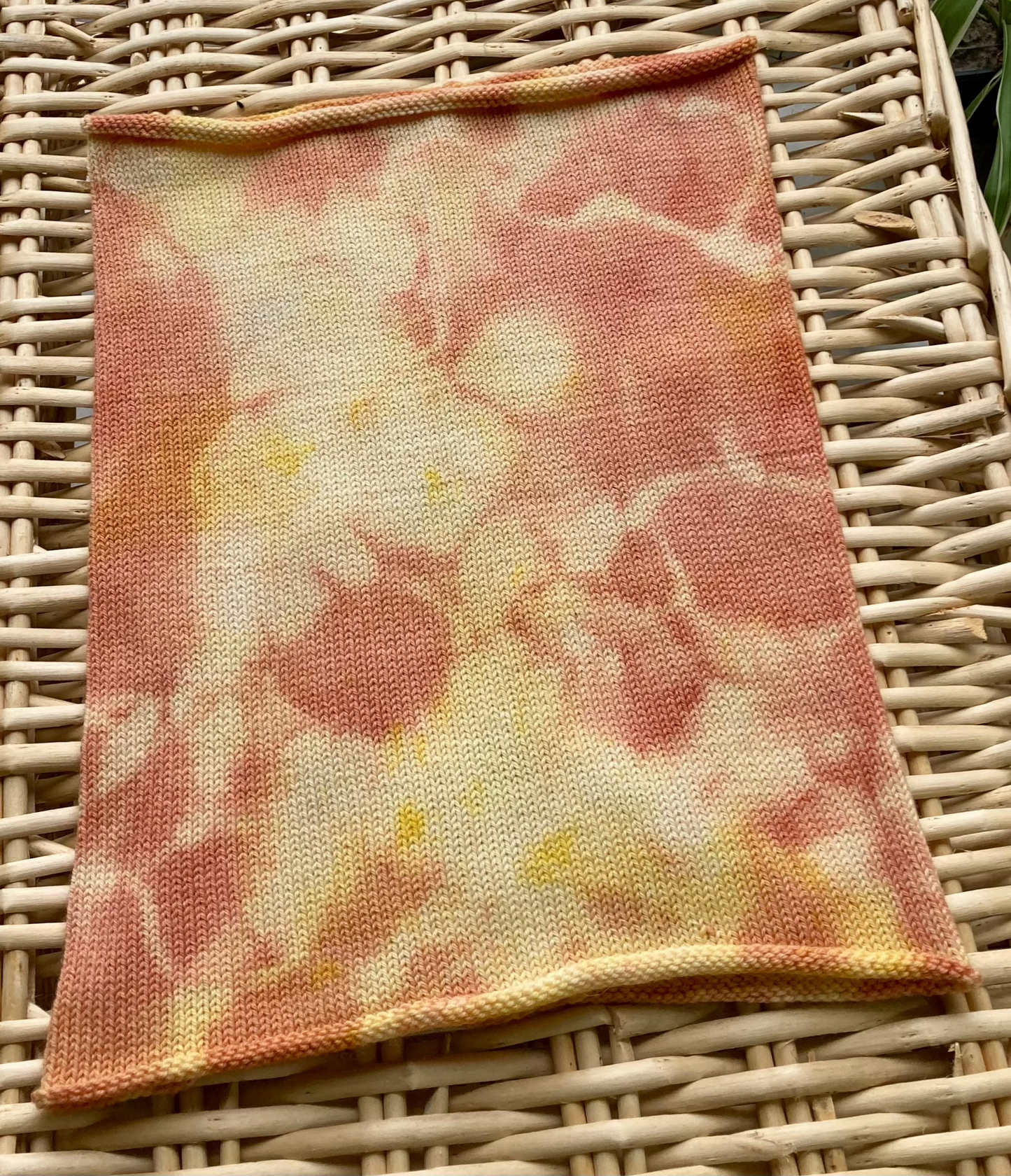 Madder-Golden Rod Tie dyed Merino Cowl