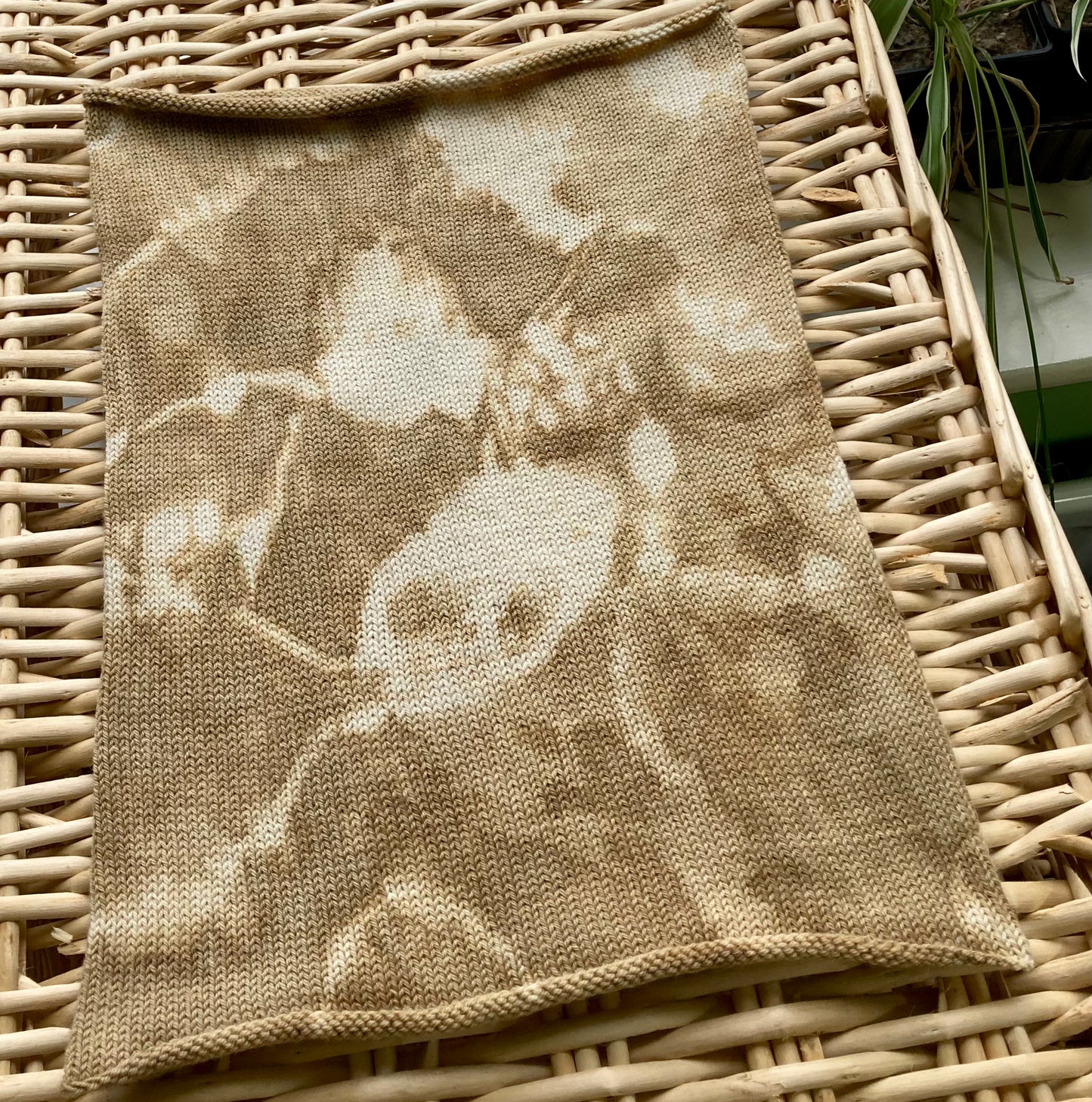 Beech Tie dyed Merino Cowl