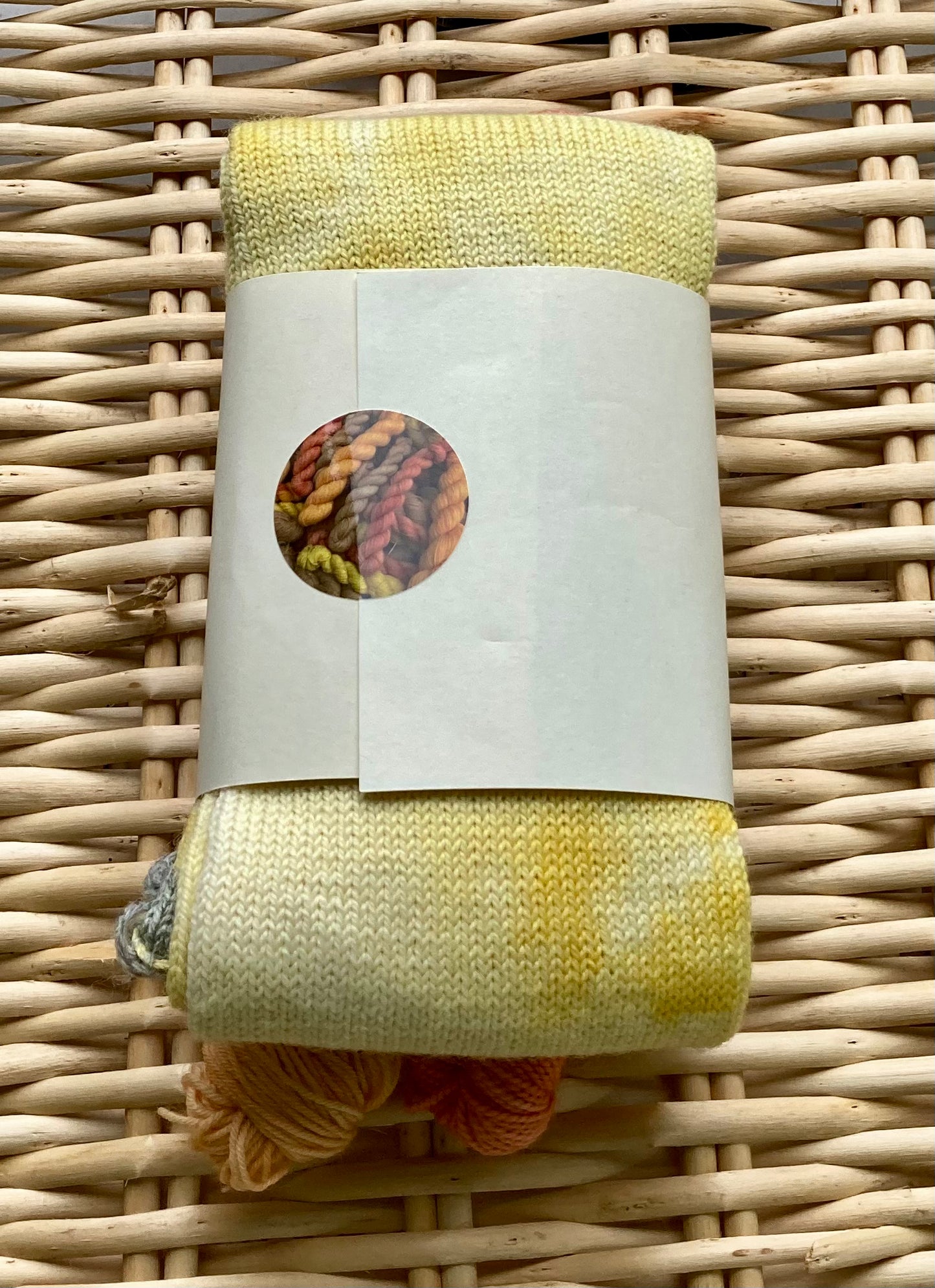Yellow Sock tube and 2 mini skein set
