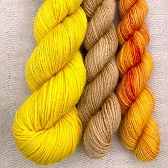 Springtime Sock set - Merino / nylon sock yarn