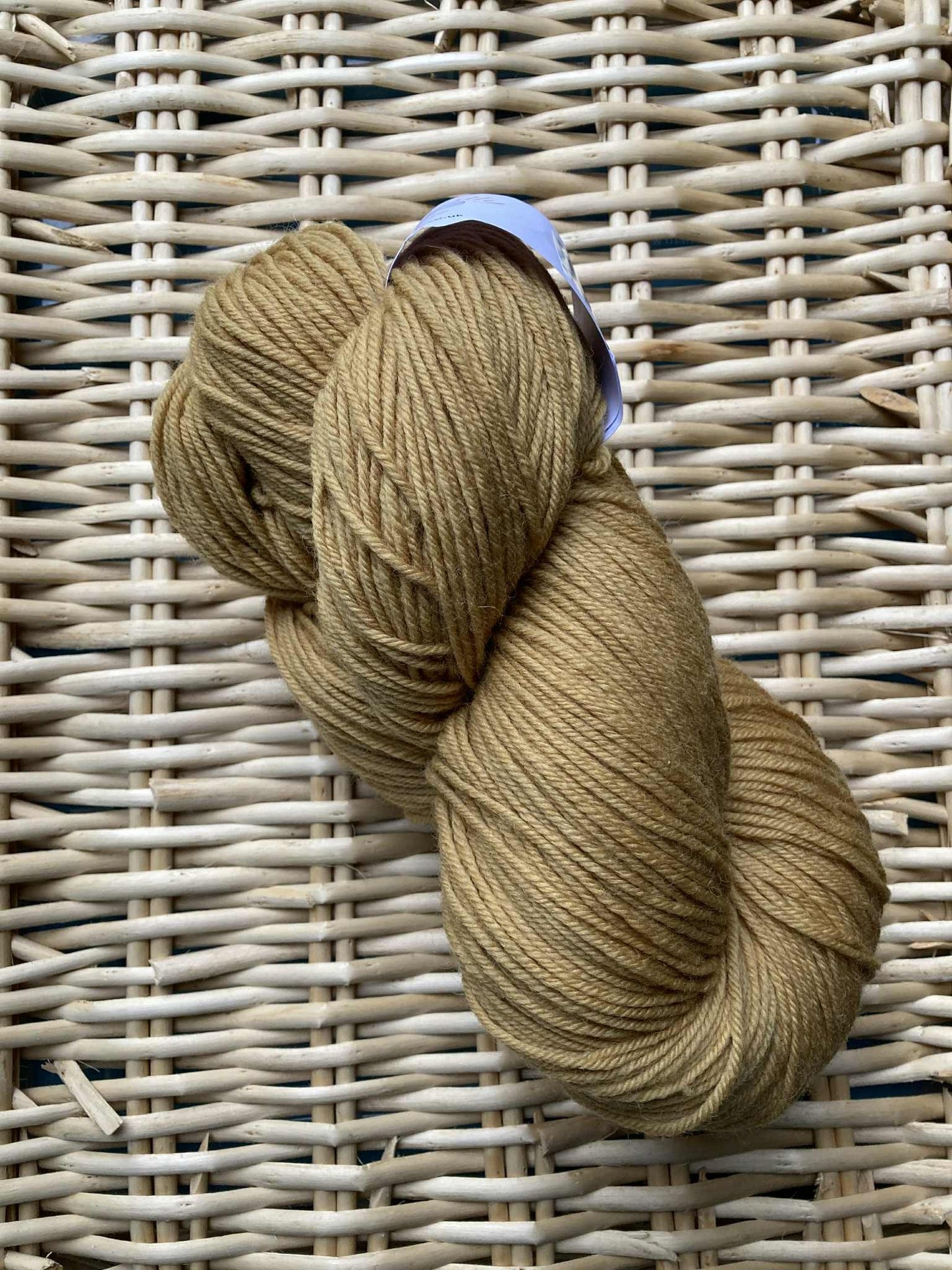 Autumn Leaves - Merino DK Superwash 250