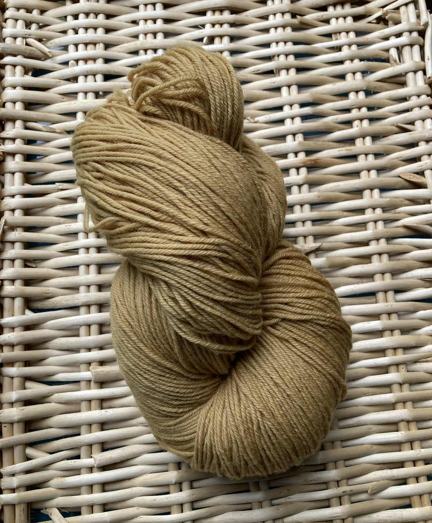 Autumn Leaves - Merino DK Superwash 250