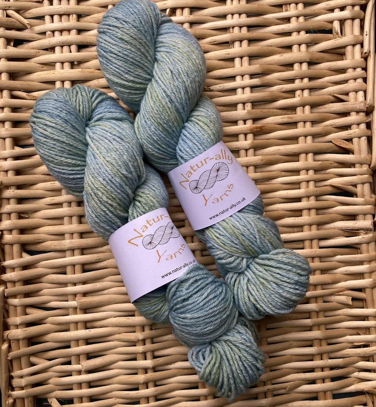 Caribbean Sea (light) - Organic Merino DK non superwash