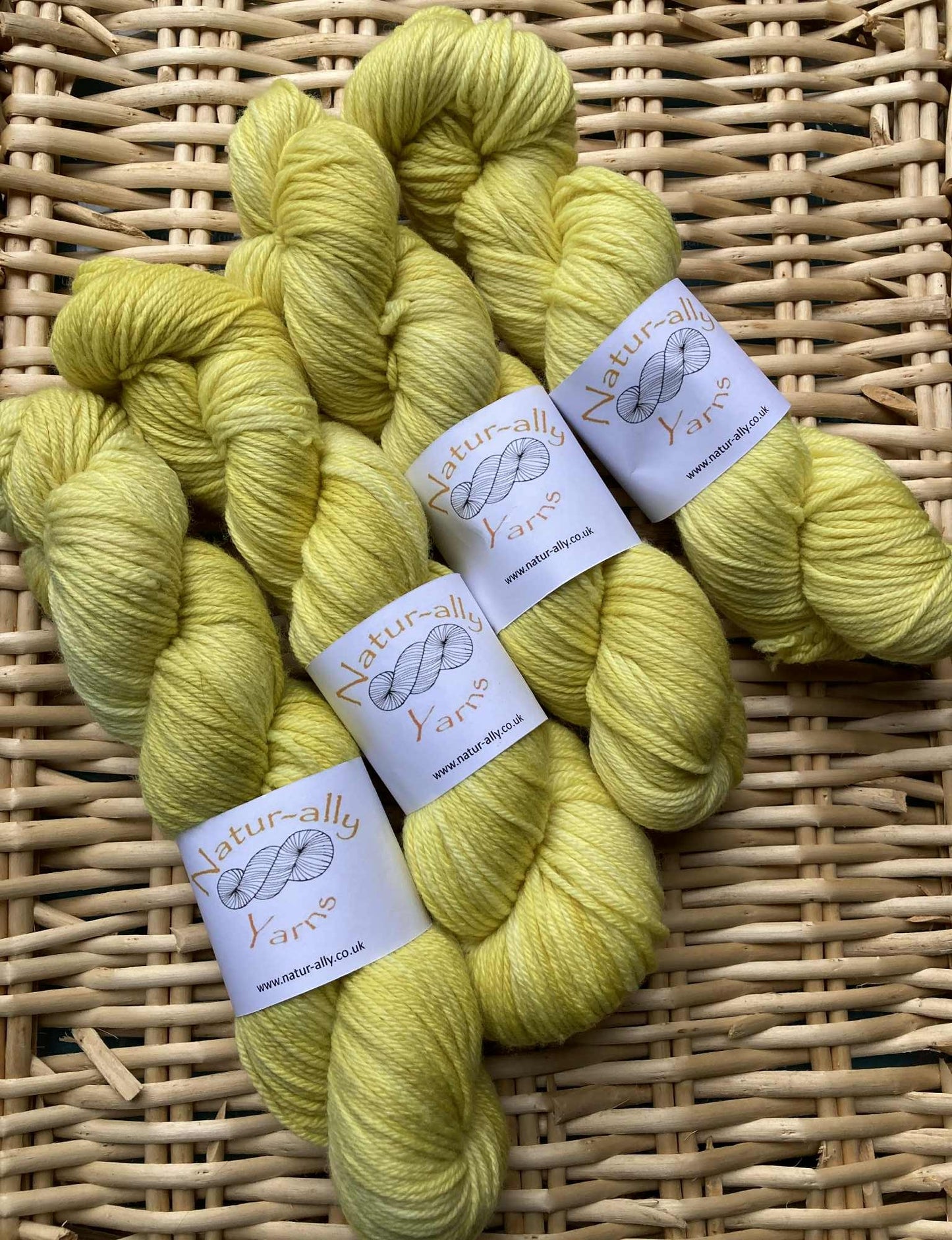 Golden Rod - Merino DK Superwash