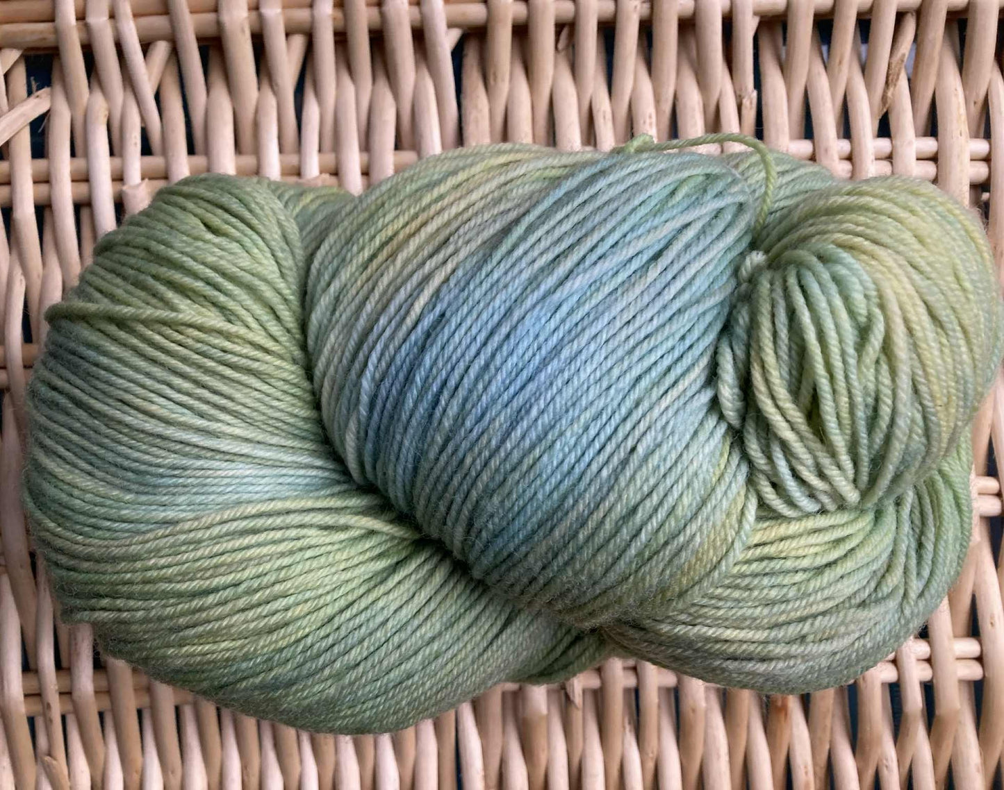 Spring Shoots- Merino DK Superwash 250