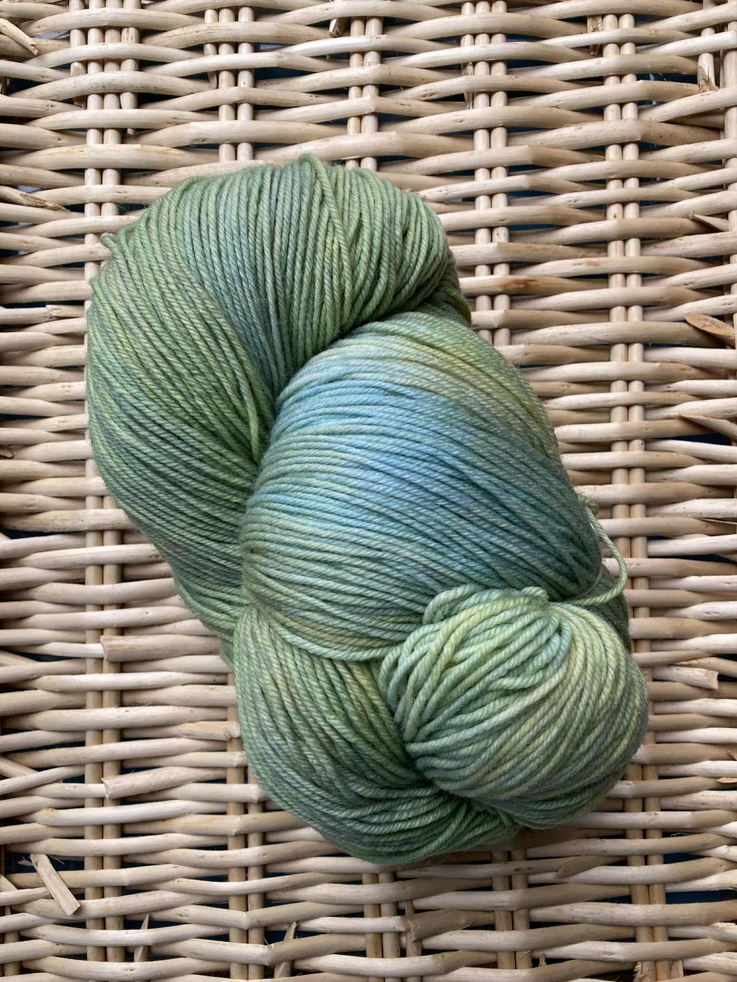 Spring Shoots- Merino DK Superwash 250